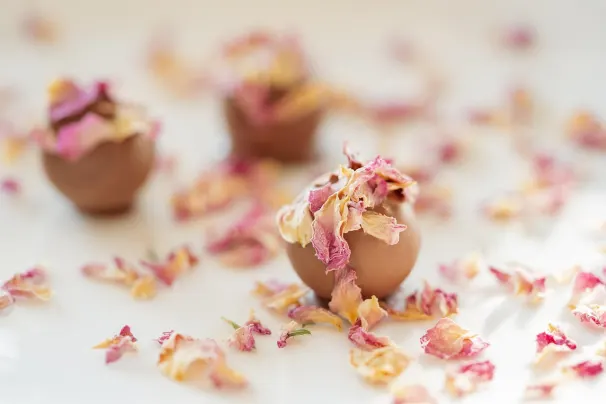 Casino Lotus Asia Android/iOS rakendus